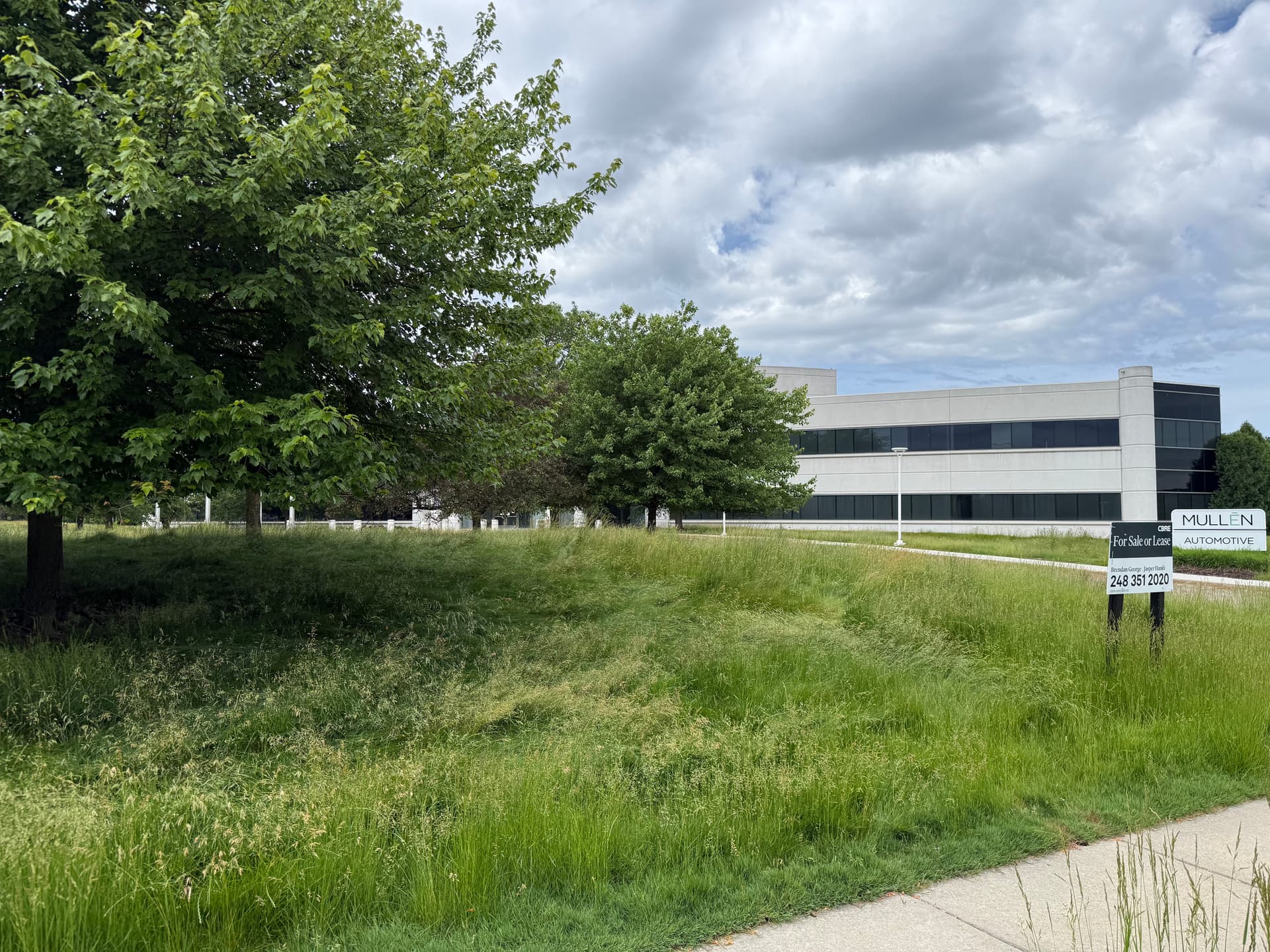 Commercial property before recovery — overgrown vegetation and neglected grounds, Southeast Michigan