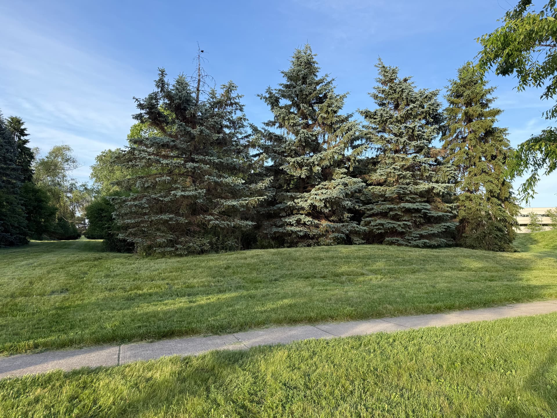 Milavec Property Services — commercial property maintenance and recovery, Troy Michigan